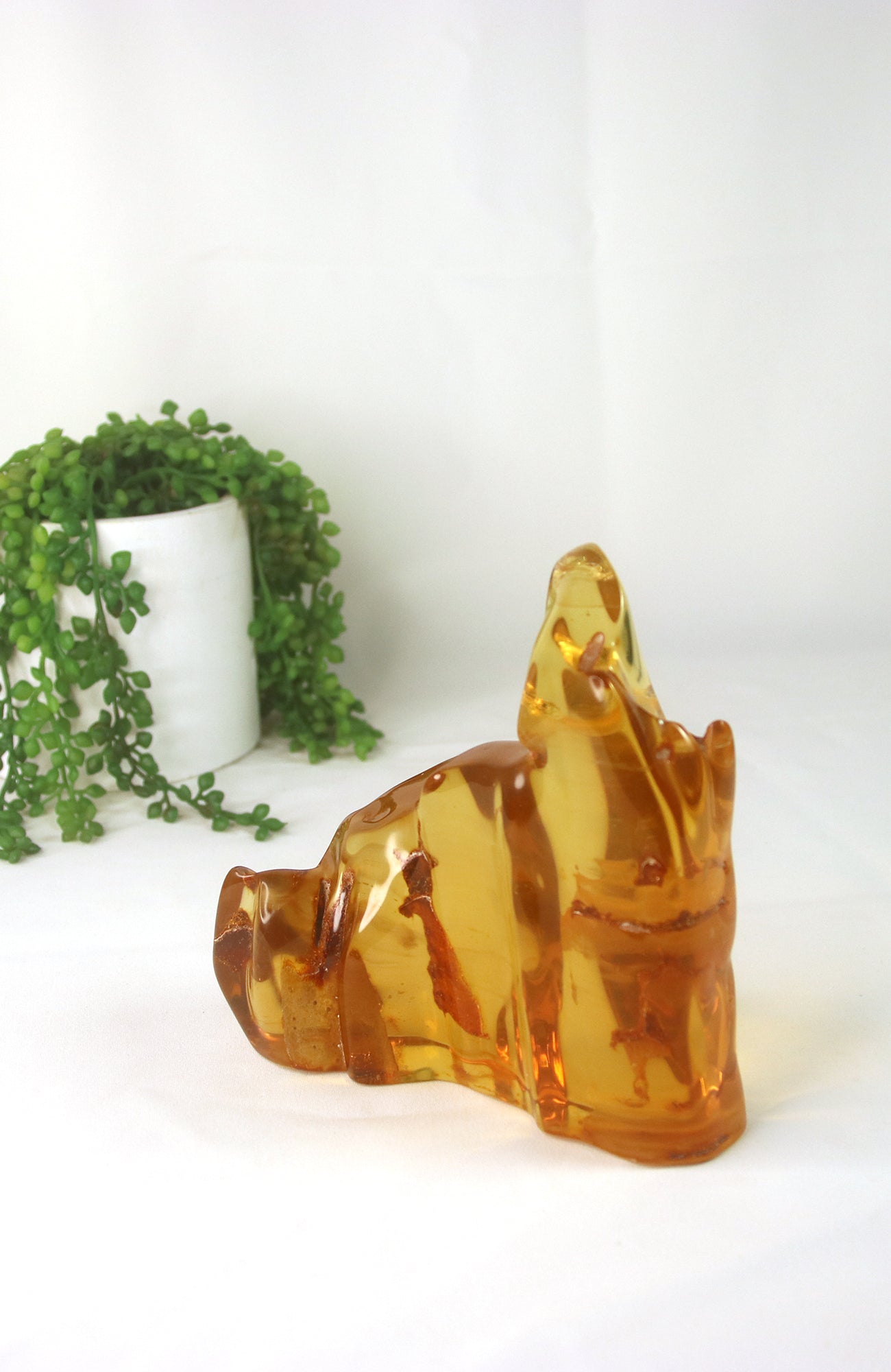 Amber Piece with insects